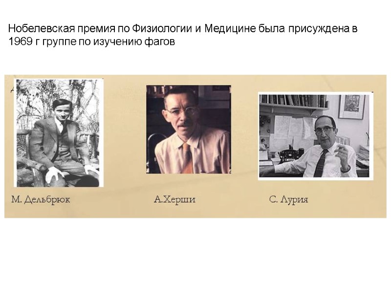 Нобелевская премия по Физиологии и Медицине была присуждена в 1969 г группе по изучению